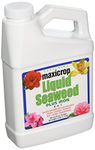 MaxiCrop 2001 Liquid Seaweed Plus Iron, 1-Quart