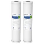 Pentair Pentek RFC-20BB Big Blue Carbon Water Filter, 20-Inch, Whole House Heavy Duty Radial Flow Carbon Replacement Cartridge with Granular Activated Carbon (GAC) Filter, 20" x 4.5", 25 Micron