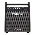 Roland Drum Monitor (PM-100)