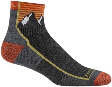 Darn Tough (Style 1959) Mens Mid Weight Hiking Socks With Cushion Hiking Sock, Mountain Grey, L
