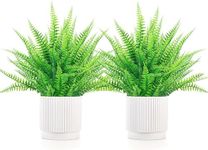 Der Rose 2 Pack 14.5" Fake Plants Artificial Ferns for Outdoors Faux Plants Indoor for Home Bathroom Bedroom Living Room Decor