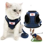 Zunea Pet Dog Cat Harness and Lead Set Escape Proof No Pull Adjustable Reflective Step-in Vest Harnesses for Walking Soft Mesh Padded Corduroy for Cats Kitten Puppy Small Dogs Blue M