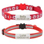 Personalized 2 Pack Reflective Cat Collar,Custom Breakaway Cat Collars with Name Tag and Bell,Anti-Lost Nameplate Cat Collar for Girls & Boys (Red,fit 8''-11.0'')