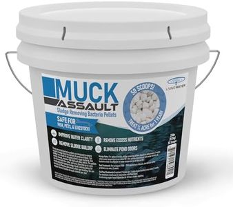 Muck Assau