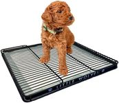 Little Wolves Puppy Potty Tray Esse