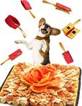 Sniffiz SmellyMatty Snuffle Mat for Dogs - Interactive Food IQ Enrichment Puzzle Toy Package (Large Nosework Orange Mat + Mini Treat Puzzles X 6) - Mind Stimulating Brain Games for Boredom