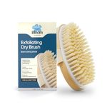 Bloom Exfoliating Oval Dry Bath Brush | For Lymphatic Drainage & Cellulite Appearance | Sheds Dead Skin Cells & Prevents Ingrown Hair | Wooden Bath Brush with Natural Bristles | (1 unit)