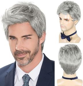 DDHAIR Men's Wig Short Silver Grey Wig Men Natural Layered Synthetic Hair Wigs for Man Male Guy Daily Halloween