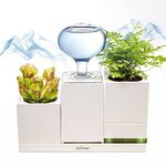 LeGrow Humidifiers for Plants Indoor with 4-Port USB - Humidifier Small Cool Mist for Plant Indoor and Personal Home and Office Desktop, Auto Shot-Off, 2 Self watering Pots 10 Days Watering Free