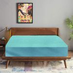 Trance Waterproof Terry Fabric Ultra Soft Mattress Protector | Breathable | Hypoallergenic Bed Cover | Mattresses Cover (75x60 inch | 6.25x5 feet_ Turquoise)
