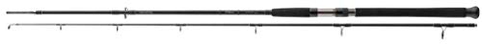 DAIWA Catfish Spin, catfish fishing rod, catfish rod, 2.40 m WG up to 185 g
