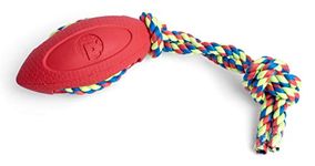 Petface (Toyz by Petface) Rugby Tugger Dog Toy, Small