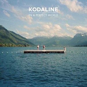 In A Perfect World (2 LP)