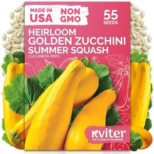 KVITER 55 Golden Zucchini Summer Squash Seeds (Cucurbita Pepo) – Yellow Zucchini, Open-Pollinated, Fast Harvest, Non GMO Heirloom Seed Packets - Vegetable Seeds for Outdoors, Gardens, Raised Beds