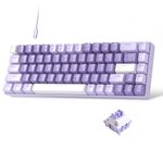 MageGee Portable 60% Mechanical Gaming Keyboard, Hot Swappable Violets Switch, RGB Backlit Compact 68 Keys Mini Wired Office Keyboard for Windows Laptop PC, Purple