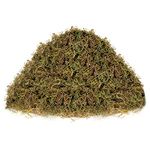 Natural Sphagnum Moss for Reptiles Dried Forest Moss Potting Mix Orchid Carnivorous Plant Moss Idea for Terrarium Decor Crafts