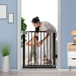 Baby Gates For Stairs