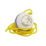 Apg Leather Cricket Hanging Ball, 7 ft, (White) Standard Size