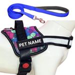 PAYTON PERRY Customized Dog Harness and Leash with Name | Dog Belt for Large Dogs, No Pull, Adjustable (L, Blue-Diamond, for 24-35 Kilograms Dogs)
