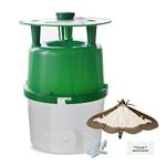 PlantPro Box Tree Caterpillar Moth Trap Catcher - Includes 3 Pheromone Lures, Green, 10x22cm For Garden and Outdoors