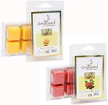 Ampliscent Scented Wax Melts -Set of 2 (2.5 oz) Assorted Wax Warmer Cubes/Tarts - Chocolate Red Apple and Fruity Splash