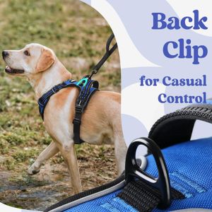 rabbitgoo Medium Dog Harness – No Pull, Adjustable, Reflective, Blue