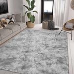 Calore Area Rug 6x9 for Living Room Bedroom Fluffy Shaggy Rug Non Slip Soft Carpet for Kids Room Nursery Play Mat (Gray White, 6.5'×9.8' (200×300 cm))