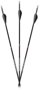 Carbon Express Maxima Sable RZ 400 Arrow, 6-Pack Fletched (51201), Black