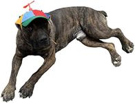 GEANBAYE Dog Hats with Funny Propeller, Size and Rope Double Adjustment Pet Hats for Small ，Medium， Large Dog and Cat (Iridescent)