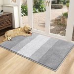 Vaukki Indoor Doormat Entryway Door Rug, Non Slip Absorbent Mud Trapper Mats, Low-Profile Inside Floor Mats, Soft Machine Washable Small Rugs Door Carpet for Entryway (Light Grey, 32''x48'')