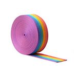 Realm Heavy Duty Polypropylene Webbing Strap Tape for Backpacks, Rucksack, Luggage/Cargo Strapping, Luggage - 5 Metres (Rainbow, 25mm)