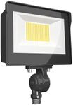 RAB Lighting Flood FA 35W LED 120-2