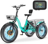 MOONCOOL Electric Tricycle for Adul