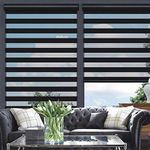 Changshade Cordless Zebra Roller Shade with Valance, Double Layered Window Blind for Day and Night, Light Filtering Window Treatment with Mesh and Opaque Fabric, 39 inches Wide, Black RBS39BK72A