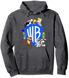 WB100 Looney Tunes Classic Warner Bros. Logo Pullover Hoodie