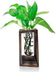 Plant Terrarium Transparent Desktop Glass Planter Test Tube Vase with Rhomb Retro Solid Wooden Stand Tabletop Propagation Station for Hydroponics Plants Home Garden Wedding Decor