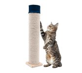 Scratching Pole