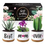 Mum Birthday Gifts - Succulent Planters Birthday Gifts for Mum, Best Mum Ever Gifts for Mum on Her Birthday, Mummy Gifts for New Mum Mummy, Step Mum Birthday Gifts from Daughter Son, Mum Presents