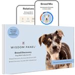 Canine Dna Tests