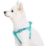 Blueberry Pet Essentials Step-in Reflective Back to Basics Dog Harness, Minty Green, Chest Girth 20" - 26", Medium, Adjustable Harnesses for Dogs