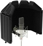 Studio Recording Microphone Isolati