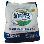 Pennington 100526631 Kentucky Smart Seed, 3 LB, Green