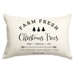 RABUSOFA Christmas Decorations Pillows Covers 12x20 Inch,Merry Christmas Winter Decorative Throw Pillow Cases,Farmhouse Holiday Xmas Lumbar Cushion Covers for Couch Living Room Red (White-12x20 Inch)