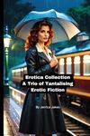 Erotica Collection : A Trio of Tantalising Erotic Fiction: Three very different short stories, designed to titillate and delight the reader