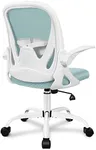 Primy Office Chair Ergonomic Desk Chair with Adjustable Lumbar Support and Height, Swivel Breathable Desk Mesh Computer Chair with Flip up Armrests for Conference Room（Light Blue）