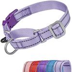 YUDOTE Reflective Martingale Dog Co