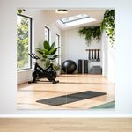 BOOLUU 2 PCS Tempered Glass Home Gym Mirror 48 x 24 Inch (Each), Full Length Wall Mounted & Frameless Full Mirror for Gym, Yoga Studio, Dancing Studio