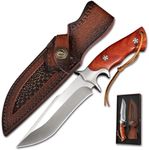 QIXENIO M390 Steel Hunting Knife, H