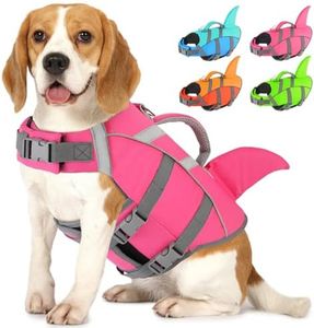 Doglay Dog
