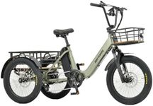 REVOM Electric Trike Cargo E-bike L